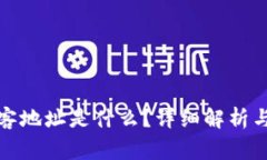 TP钱包中的墨客地址是什么？详细解析与常见问题